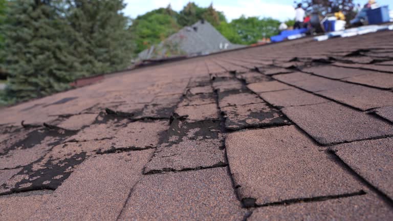 Best Roof Leak Repair  in Romoland, CA